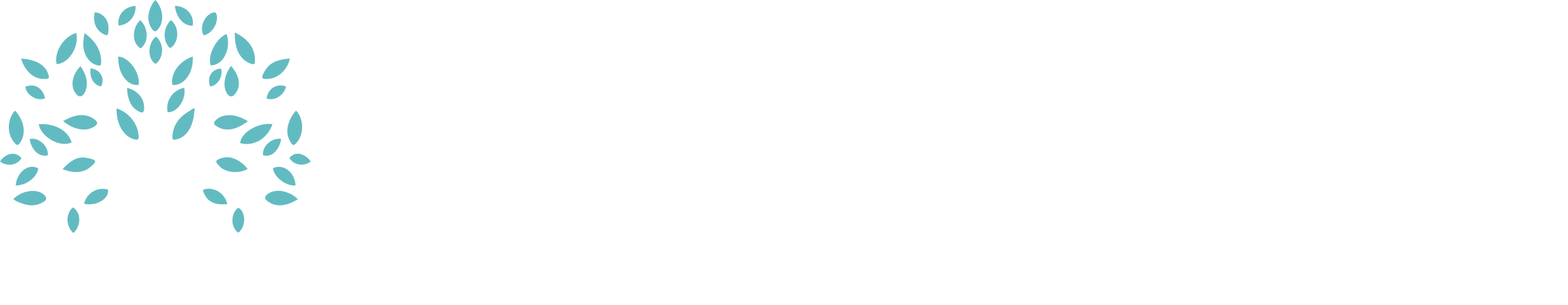 Saint Peter’s Hospice Logo
